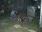 Bild#8(CIMG1696.JPG)