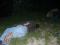 Bild#41(CIMG1755.JPG)