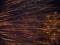 Bild#188(STP80665.JPG)